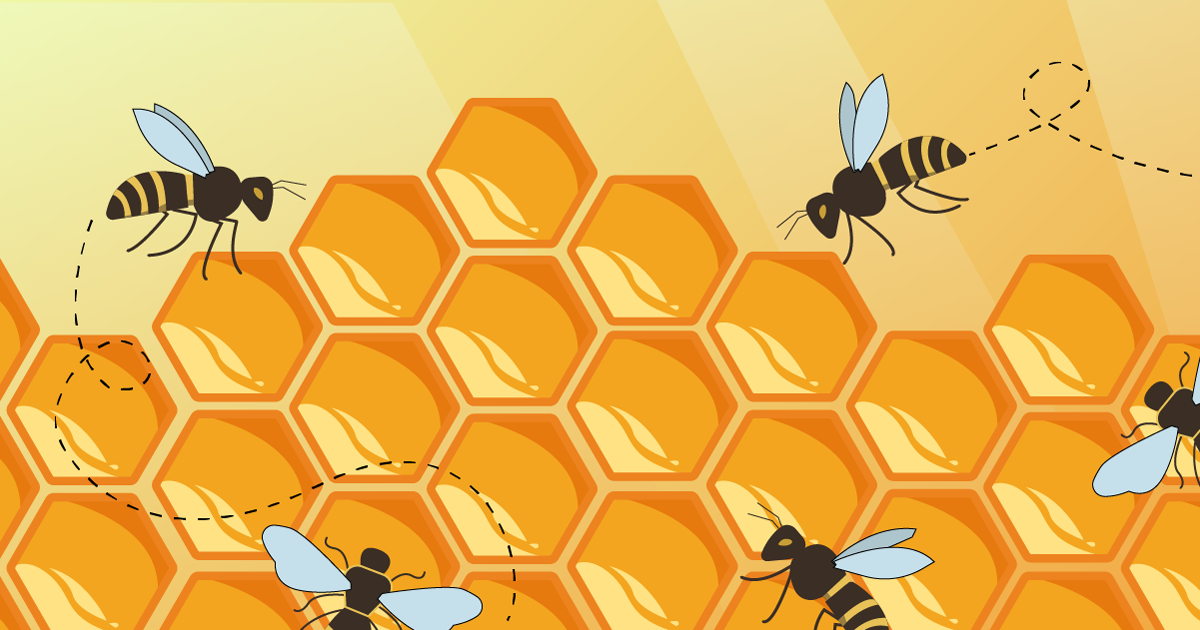 Structure Shapes Success: Conway's Law, AI Teams & Hexagonal Architecture